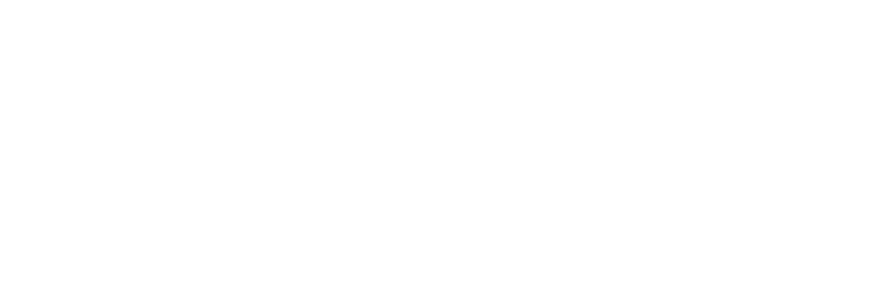 Conect Conect